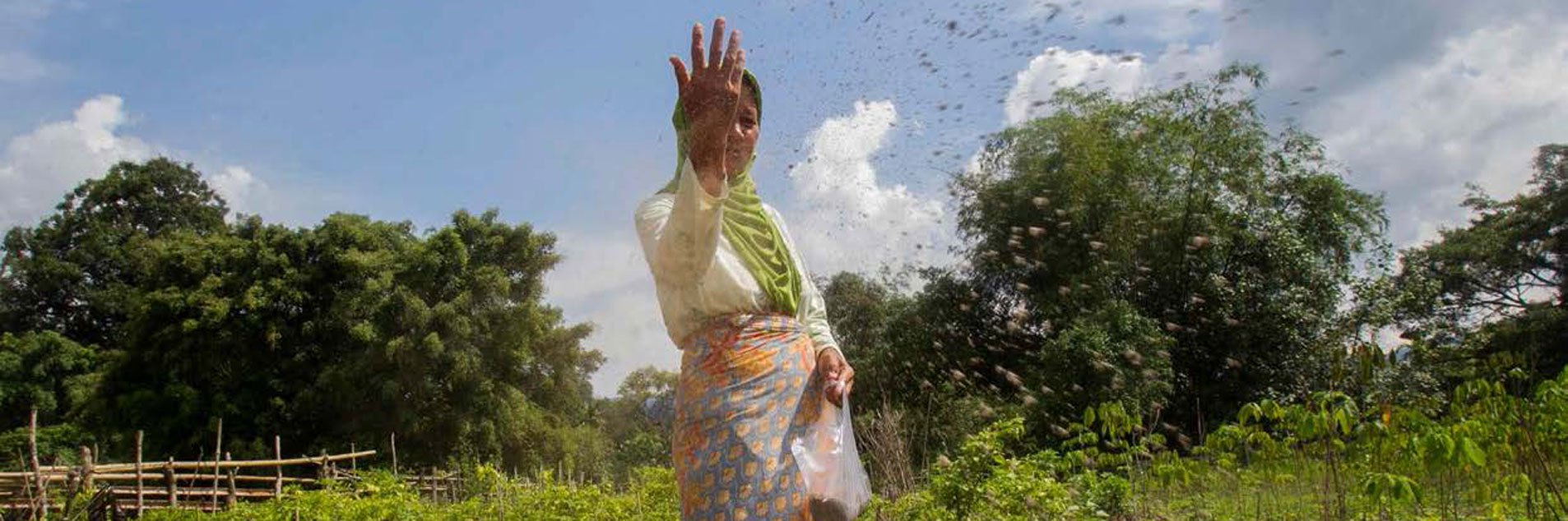 JOIN! 25 March | Promoting gender justice in the transition to renewable energy