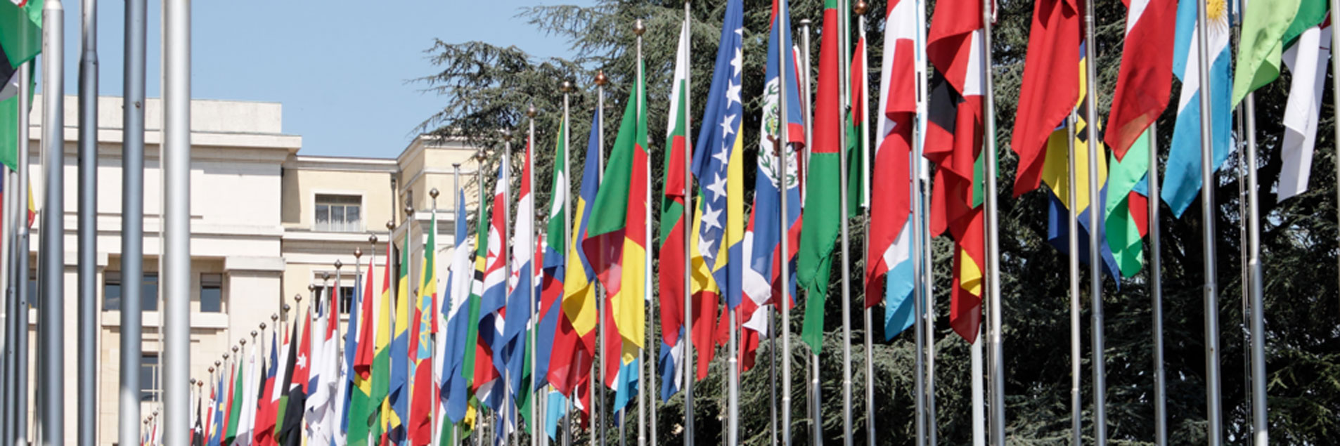 A historic victory for global tax justice