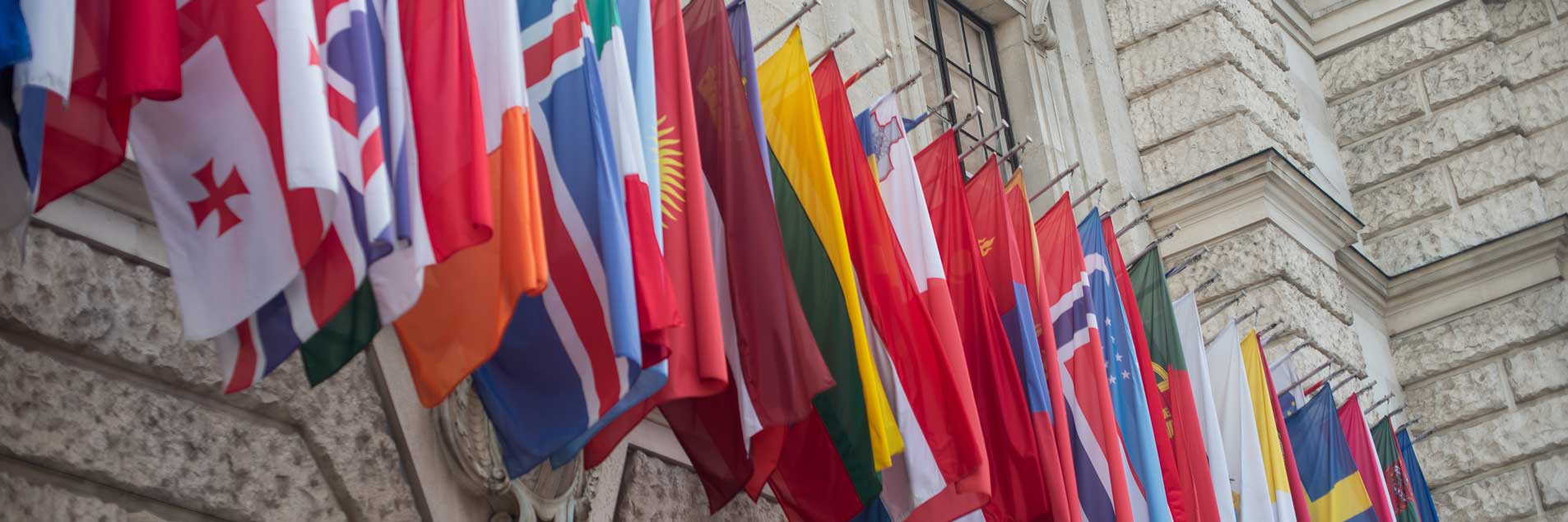 Human Rights Day | New Publication and Podcast Series “Building Back Better: A Call for Courage” (FR)