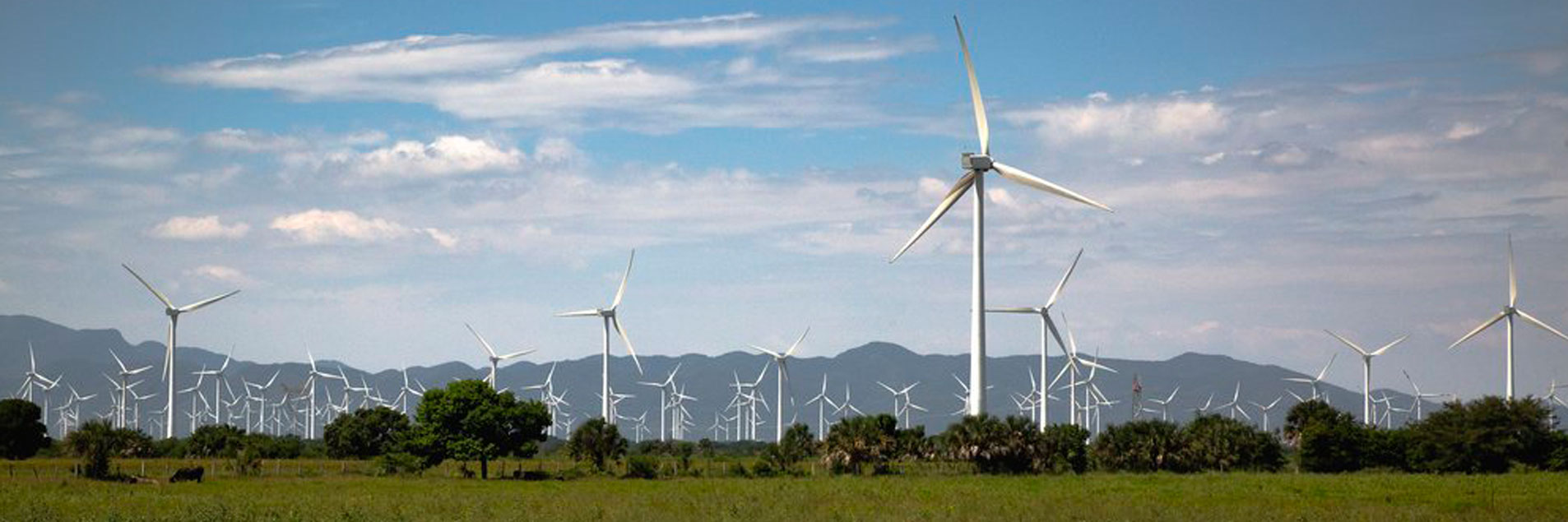 GI-ESCR convenes Panel Discussion on Renewable Energy and Gender Justice